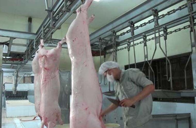 Giải m&atilde; giấc mơ thấy động vật